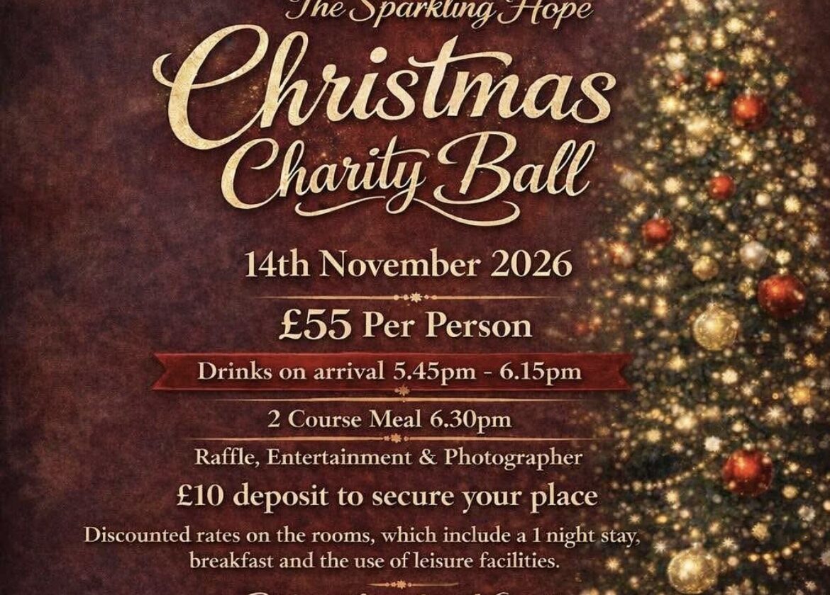 Angel Babies & The Sparkling Hope Christmas Charity Ball