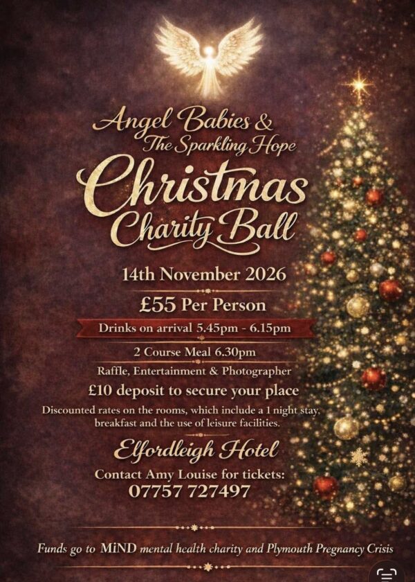 Angel Babies & The Sparkling Hope Christmas Charity Ball